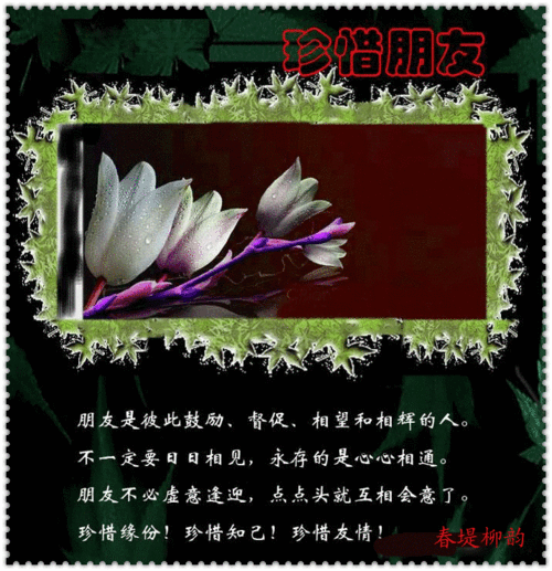 珍惜朋友【图文音画】