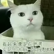 看起来像是在思考,实际上大脑一片空白呢 _ 热门猫咪表情包[图片专辑]