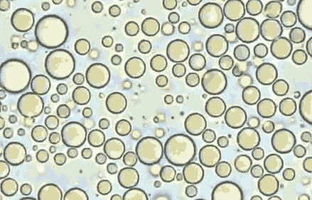 母乳是"活"的!你敢相信吗?