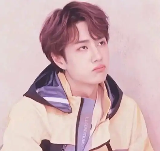 王一博头像太阳下山了夜里也有灯打开你看这世界不坏