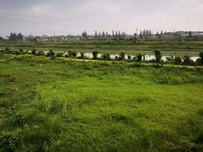 这里水清岸绿蜿蜒曲折的茅山河在绿色间流淌这里水与文化共流传这里