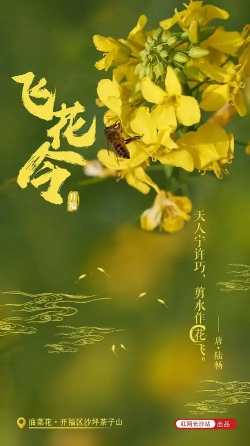 诗词海报飞花令开福