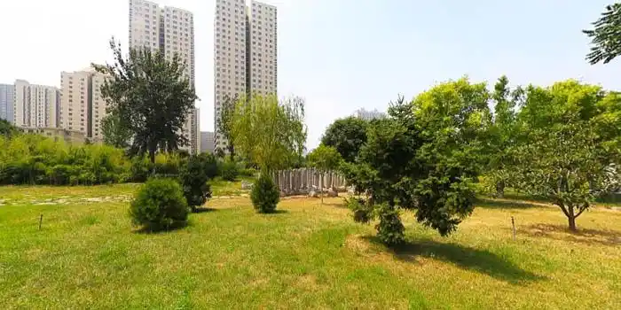 西安美术学院全景漫游