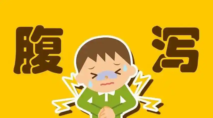 图源网络,侵删一,腹泻因何而起1, 细菌性腹泻病因:食用了被痢疾杆菌