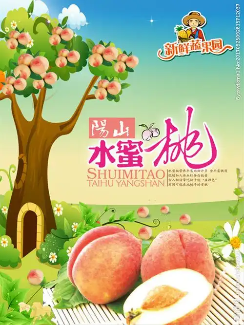 阳山水蜜桃海报图片