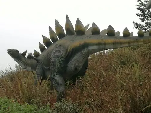 太白华阳龙:小到中型的剑龙,长3米.