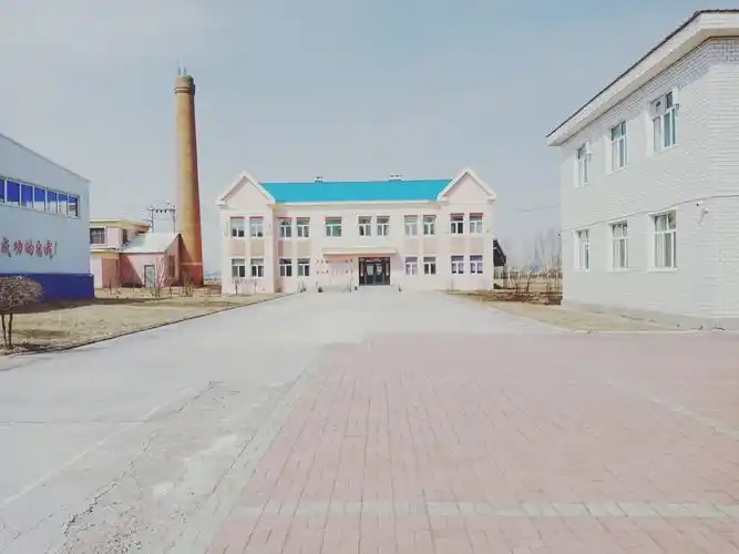 "一片丹心向阳开"伊敏河镇第二小学党员奉献进行时