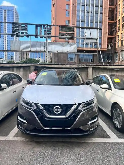 逍客琥珀金豪华已定