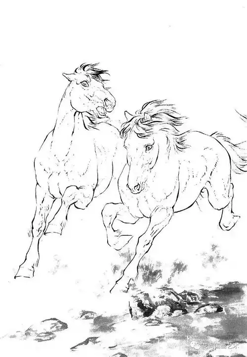 9张马的白描线稿