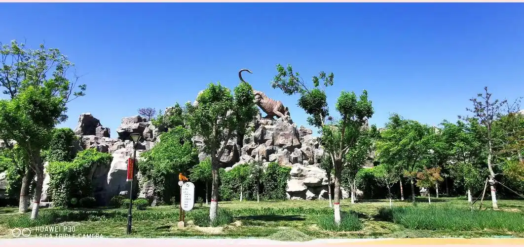 2020【十一】沧州市动物园(5月12日)