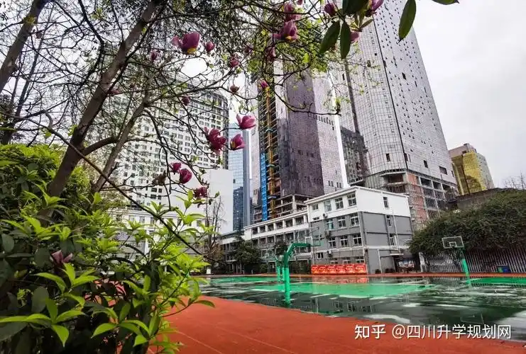 石室联合中学(陕西街校区),石室联合中学(金沙校区)