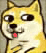 doge