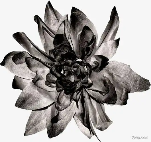 灰色花瓣png素材透明免抠图片装饰效果
