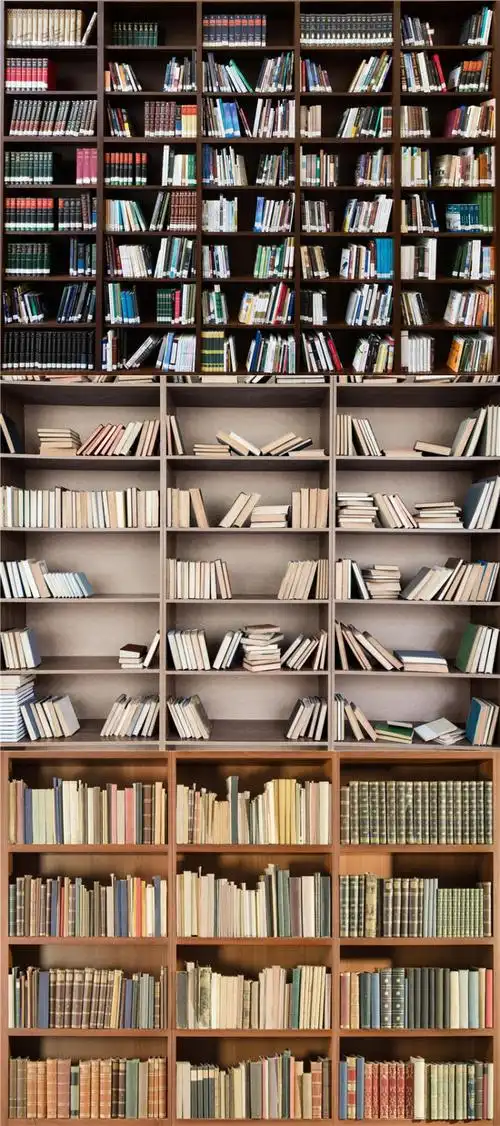 书架背景布3立体书柜直播背景墙讲师主播录视频背景布书架书房拍摄