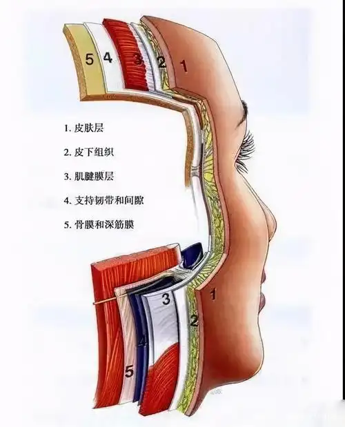面部埋线提升层次的精确选择很重要,40岁小姐姐面部年轻化案例