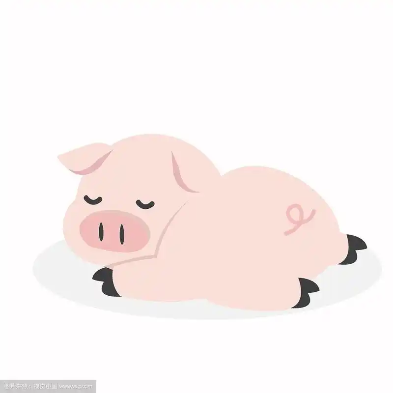 睡猪卡通