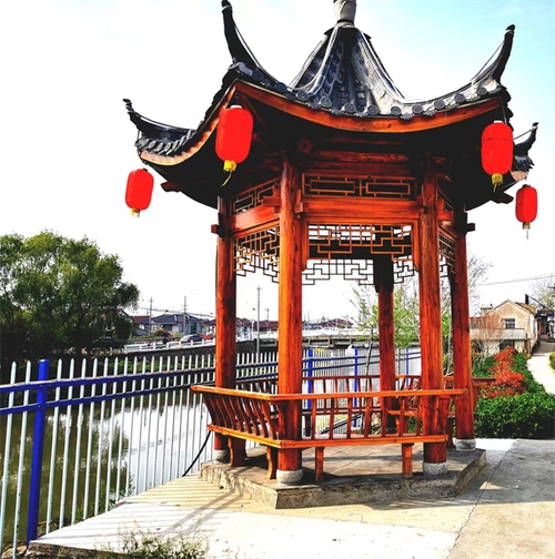 环境整治兴化市戴南镇罗顾村奶奶志愿队在行动