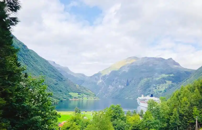 起舞的挪威森林