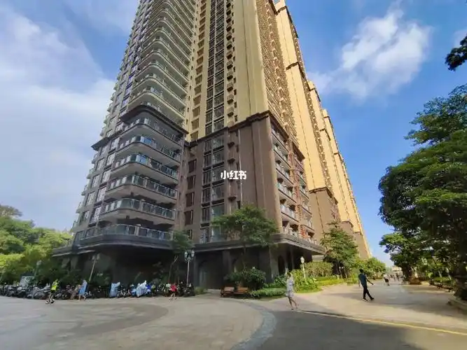 罗湖租房银湖半山六号大院新上好房