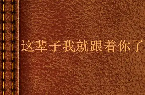 这辈子我就跟着你了