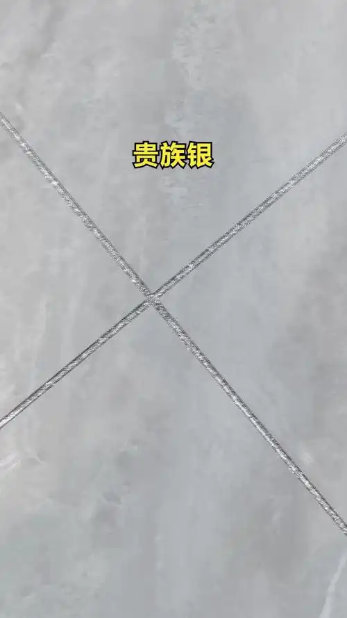浅灰瓷砖搭配贵族银美缝