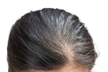 白发图片-白发素材-白发插画-摄图新视界