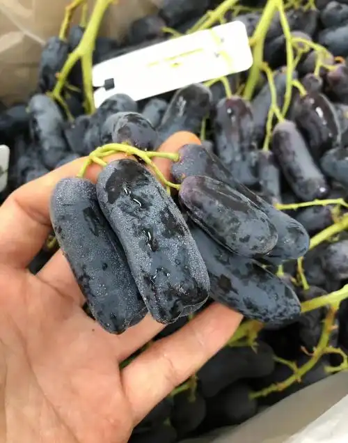 澳洲金手指葡萄