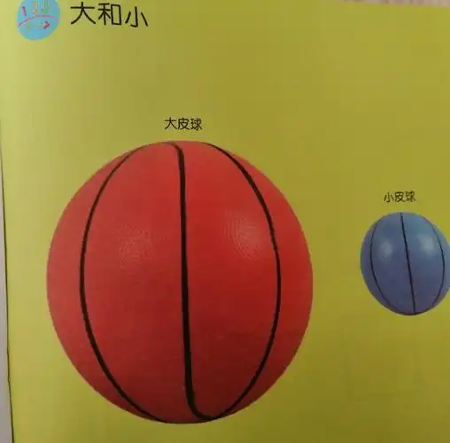 大和小 目标:学习比较事物的大小,通过活动,巩固对大小的认识