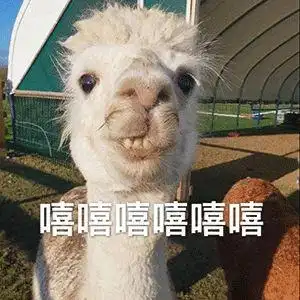 沙雕表情包|能笑死人的沙雕图片|日常沙雕表情包|搞笑gif逗比沙雕图片