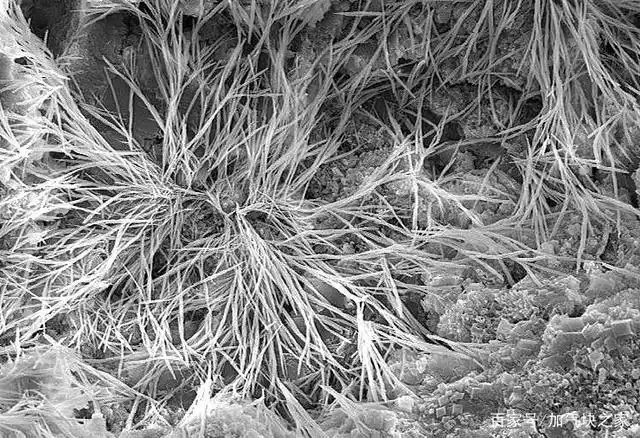 水合硅酸钙(托勃莫来石)微米级图片