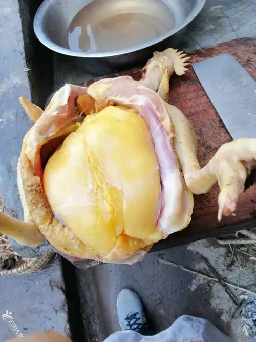 这老母鸡太肥了