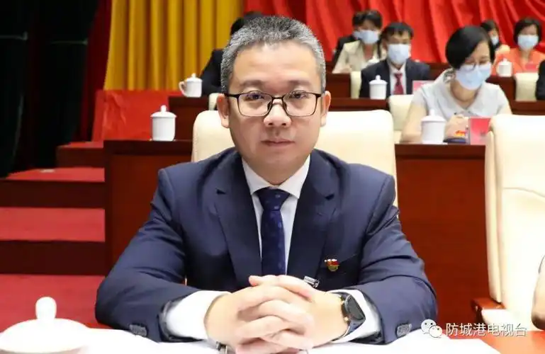 何 翔防城港市委常委,东兴市委书记加快推进东兴高水平开放高质量发展