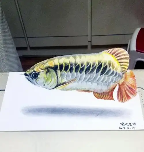 3d彩铅《金龙鱼》fy_李云飞_清风艺坊