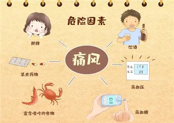 这些原因导致夏季痛风高发,六味地黄丸增强肾脏代谢促进尿酸排泄