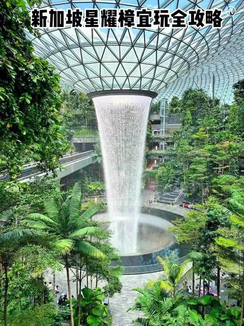 新加坡星耀樟宜怎么玩?|7大景点玩全攻略