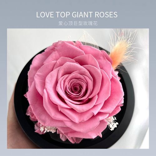 永生花玫瑰520送女朋友老婆闺蜜情人节七夕表白求婚生日浪漫礼物