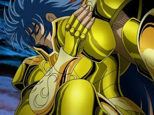 第十三位黄金圣斗士双子座加隆_网易订阅