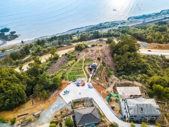 她40岁独自在荒山造1500㎡花园:前半生给家庭,后半生给自己