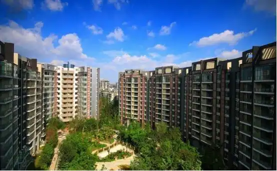 城市向上之双楠:正式跨入4.0时代 高端居住区雏形显现