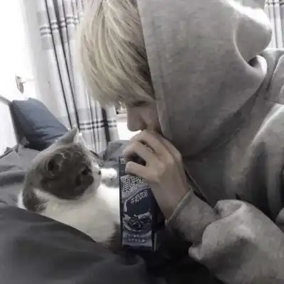 高清帅气有猫的暖系男生头像图片