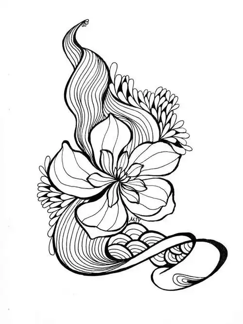 3,了解各种各样的线的作用. 情商要点