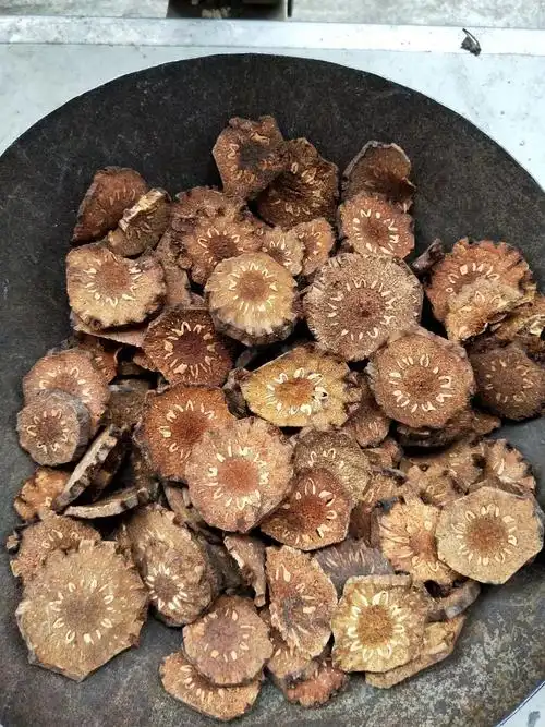 批发中药材贯众 贯仲 每件500克