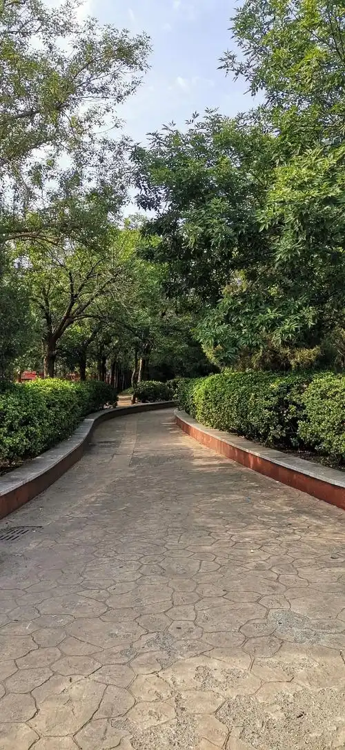 塘沽外滩公园 - 抖音