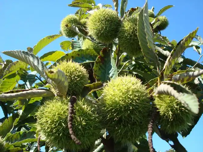 恋上济南这个地儿无关风月只因这震撼人心的风景