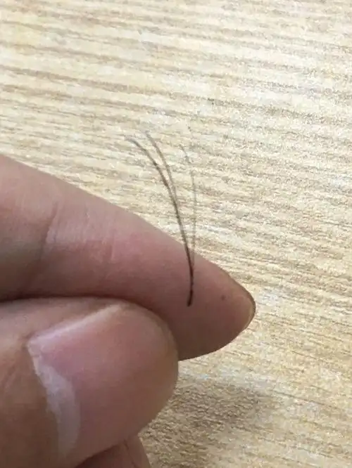 7171一条头发可以分那么多叉7171