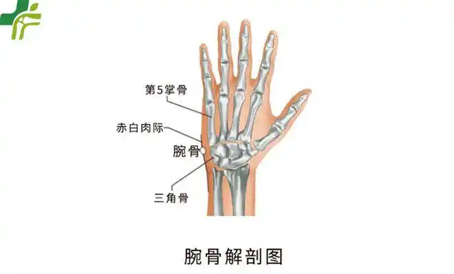 三口骨科三口伯伯说骨事手腕脱臼你知多少