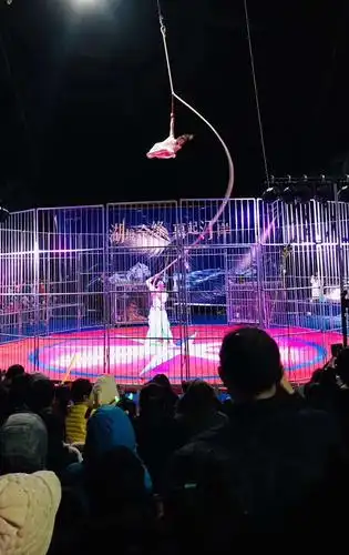 国内精彩皇家大型马戏团表演租赁马戏团演出团队表演出租