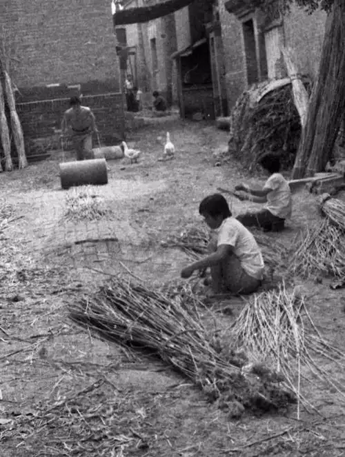 30年前白洋淀老照片!满满都是回忆