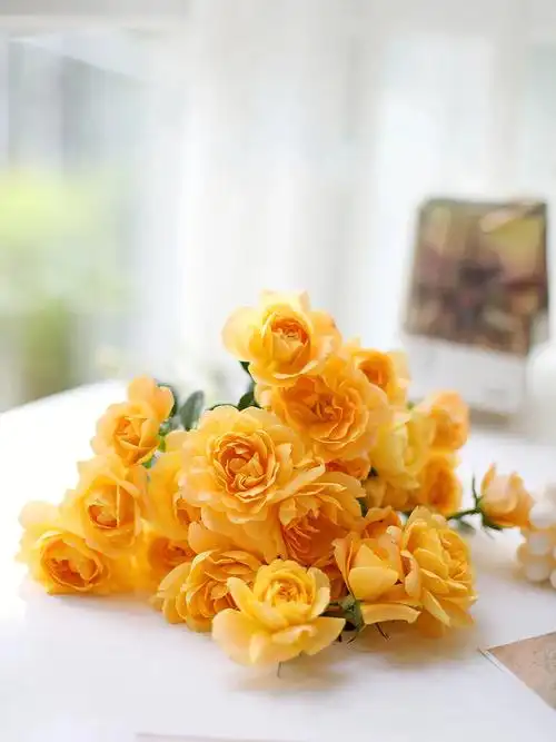 多头泡泡玫瑰果汁阳台