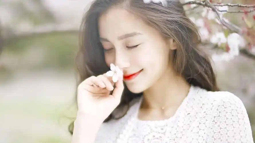 樱花绽放日记67